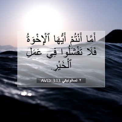 Picture 07 - ٢ تسالونيكي 3:13 AVD - أَمَّا أَنْتُمْ أَيُّهَا - Bible Verse Picture
