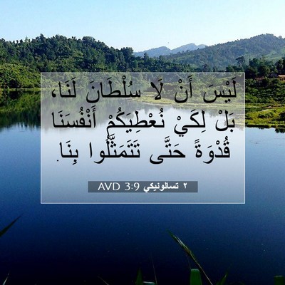 Picture 07 - ٢ تسالونيكي 3:9 AVD - لَيْسَ أَنْ لَا سُلْطَانَ - Bible Verse Picture