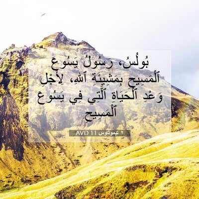 Picture 07 - ٢ تيموثاوس 1:1 AVD - بُولُسُ، رَسُولُ يَسُوعَ - Bible Verse Picture