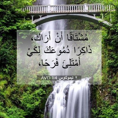 Picture 07 - ٢ تيموثاوس 1:4 AVD - مُشْتَاقًا أَنْ أَرَاكَ، - Bible Verse Picture