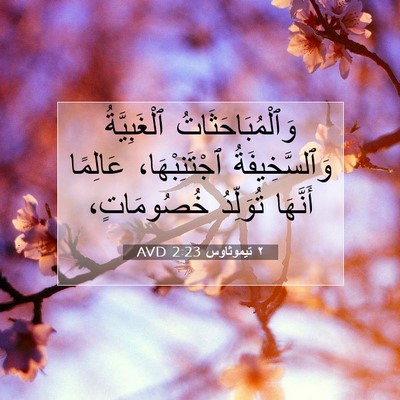 Picture 07 - ٢ تيموثاوس 2:23 AVD - وَٱلْمُبَاحَثَاتُ - Bible Verse Picture