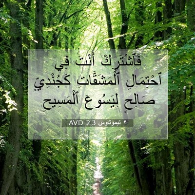 Picture 07 - ٢ تيموثاوس 2:3 AVD - فَٱشْتَرِكْ أَنْتَ فِي - Bible Verse Picture