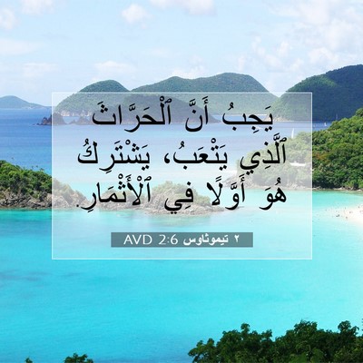 Picture 07 - ٢ تيموثاوس 2:6 AVD - يَجِبُ أَنَّ ٱلْحَرَّاثَ - Bible Verse Picture
