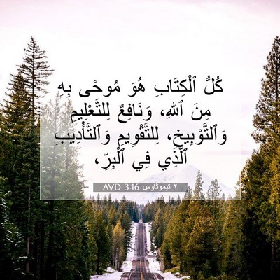 Picture 07 - ٢ تيموثاوس 3:16 AVD - كُلُّ ٱلْكِتَابِ هُوَ - Bible Verse Picture