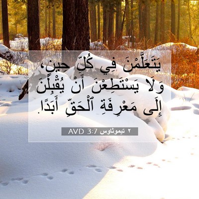 Picture 07 - ٢ تيموثاوس 3:7 AVD - يَتَعَلَّمْنَ فِي كُلِّ - Bible Verse Picture