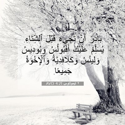 Picture 07 - ٢ تيموثاوس 4:21 AVD - بَادِرْ أَنْ تَجِيءَ - Bible Verse Picture