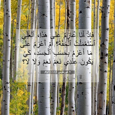 Picture 07 - ٢ كورنثوس 1:17 AVD - فَإِذْ أَنَا عَازِمٌ عَلَى - Bible Verse Picture