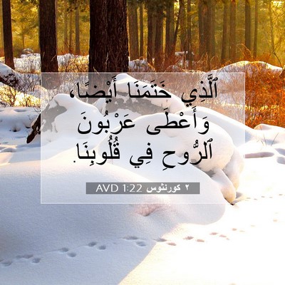 Picture 07 - ٢ كورنثوس 1:22 AVD - ٱلَّذِي خَتَمَنَا - Bible Verse Picture