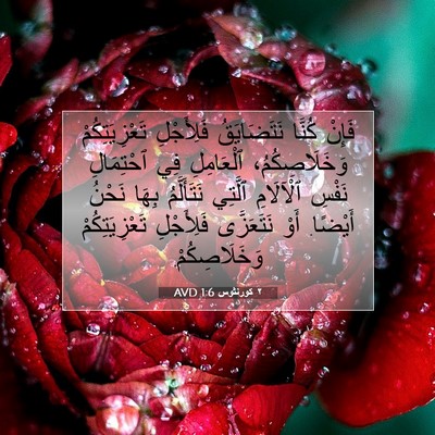 Picture 07 - ٢ كورنثوس 1:6 AVD - فَإِنْ كُنَّا نَتَضَايَقُ - Bible Verse Picture