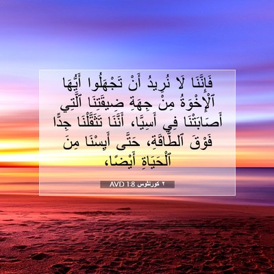 Picture 07 - ٢ كورنثوس 1:8 AVD - فَإِنَّنَا لَا نُرِيدُ - Bible Verse Picture