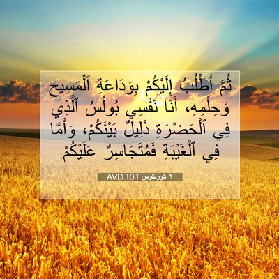 Picture 07 - ٢ كورنثوس 10:1 AVD - ثُمَّ أَطْلُبُ إِلَيْكُمْ - Bible Verse Picture
