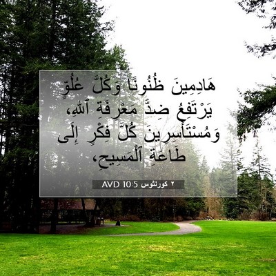 Picture 07 - ٢ كورنثوس 10:5 AVD - هَادِمِينَ ظُنُونًا - Bible Verse Picture