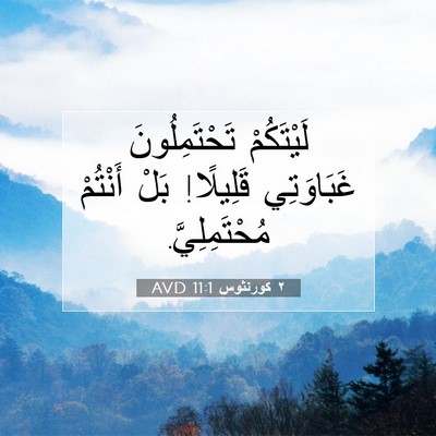 Picture 07 - ٢ كورنثوس 11:1 AVD - لَيْتَكُمْ تَحْتَمِلُونَ - Bible Verse Picture