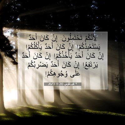 Picture 07 - ٢ كورنثوس 11:20 AVD - لِأَنَّكُمْ - Bible Verse Picture