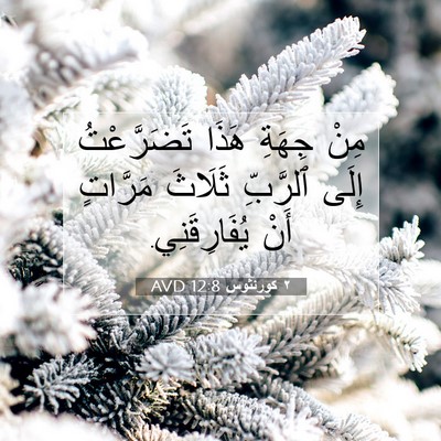 Picture 07 - ٢ كورنثوس 12:8 AVD - مِنْ جِهَةِ هَذَا - Bible Verse Picture