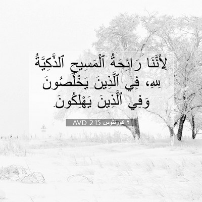 Picture 07 - ٢ كورنثوس 2:15 AVD - لِأَنَّنَا رَائِحَةُ - Bible Verse Picture