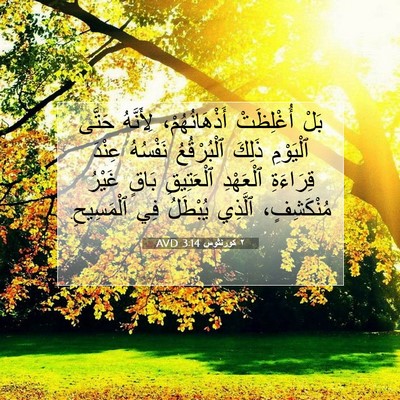 Picture 07 - ٢ كورنثوس 3:14 AVD - بَلْ أُغْلِظَتْ - Bible Verse Picture