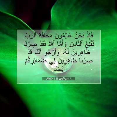 Picture 07 - ٢ كورنثوس 5:11 AVD - فَإِذْ نَحْنُ عَالِمُونَ - Bible Verse Picture