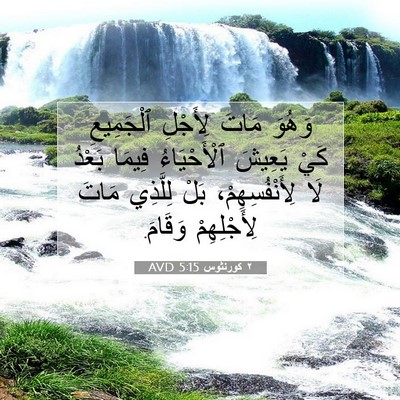 Picture 07 - ٢ كورنثوس 5:15 AVD - وَهُوَ مَاتَ لِأَجْلِ - Bible Verse Picture