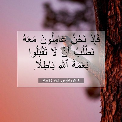 Picture 07 - ٢ كورنثوس 6:1 AVD - فَإِذْ نَحْنُ عَامِلُونَ - Bible Verse Picture