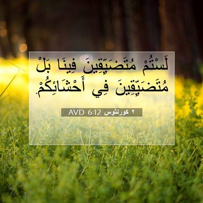 Picture 07 - ٢ كورنثوس 6:12 AVD - لَسْتُمْ مُتَضَيِّقِينَ - Bible Verse Picture