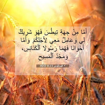 Picture 07 - ٢ كورنثوس 8:23 AVD - أَمَّا مِنْ جِهَةِ تِيطُسَ - Bible Verse Picture