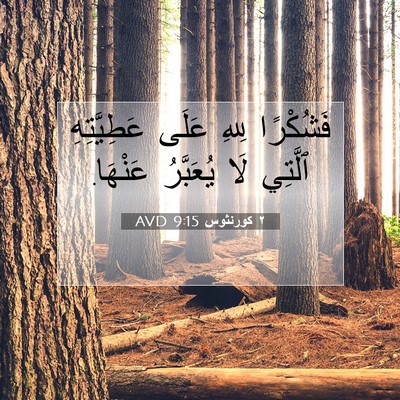Picture 07 - ٢ كورنثوس 9:15 AVD - فَشُكْرًا لِلهِ عَلَى - Bible Verse Picture