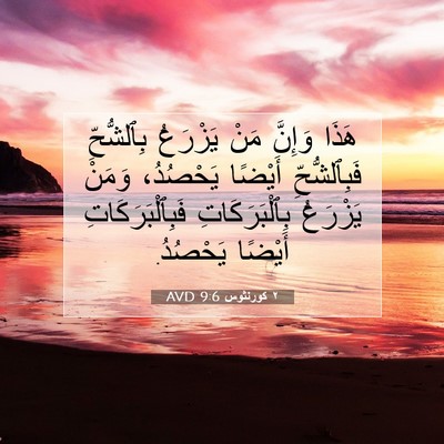Picture 07 - ٢ كورنثوس 9:6 AVD - هَذَا وَإِنَّ مَنْ - Bible Verse Picture