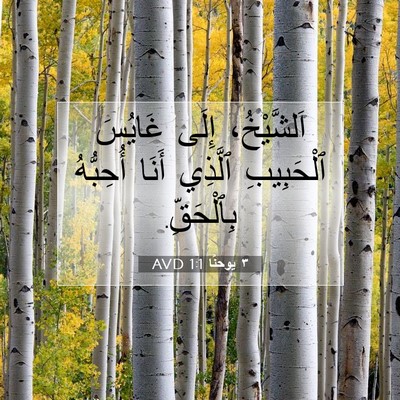 Picture 07 - ٣ يوحنَّا 1:1 AVD - اَلشَّيْخُ، إِلَى غَايُسَ - Bible Verse Picture