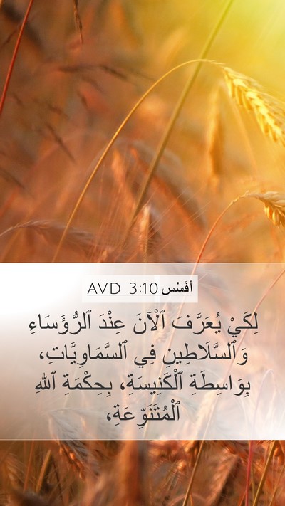 أفَسُس 3:10 AVD Bible Verse Image