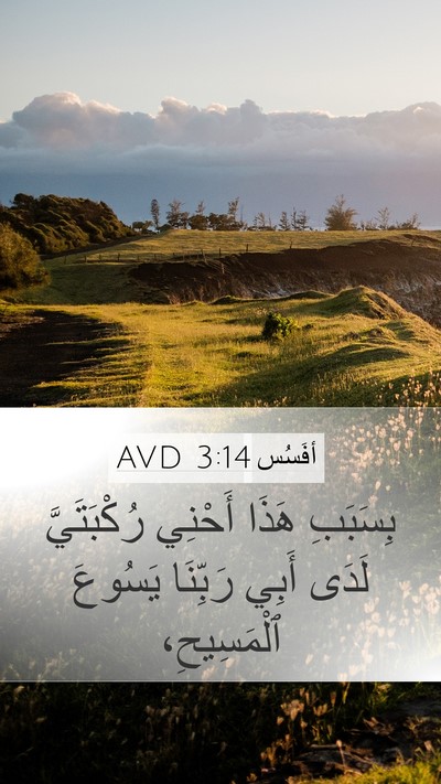 أفَسُس 3:14 AVD Bible Verse Image