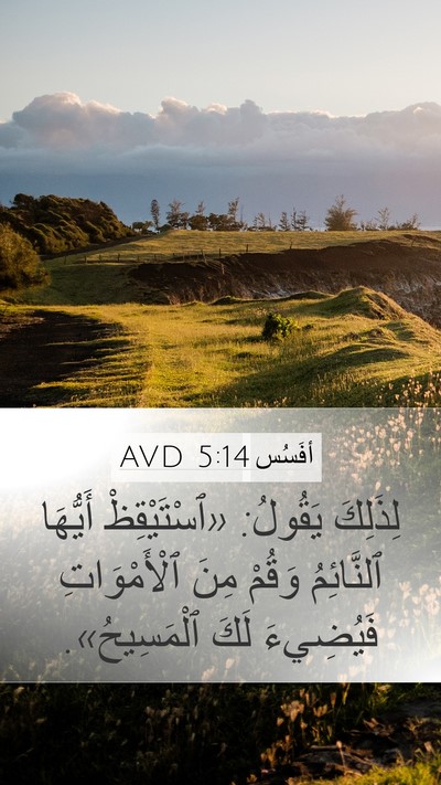 أفَسُس 5:14 AVD Bible Verse Image