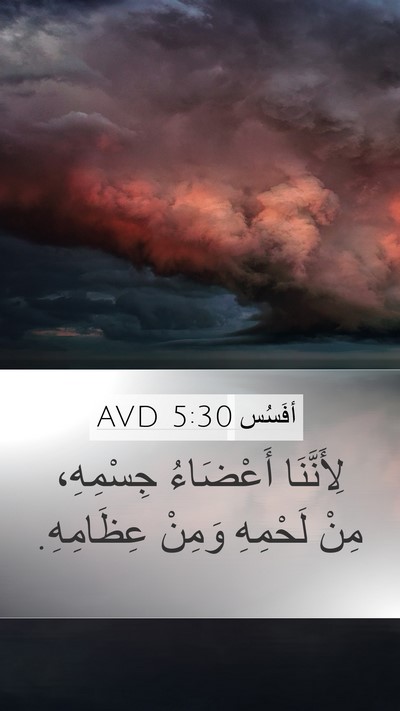 أفَسُس 5:30 AVD Bible Verse Image