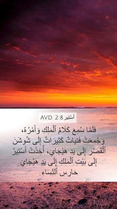 أَسْتِير 2:8 AVD Bible Verse Image