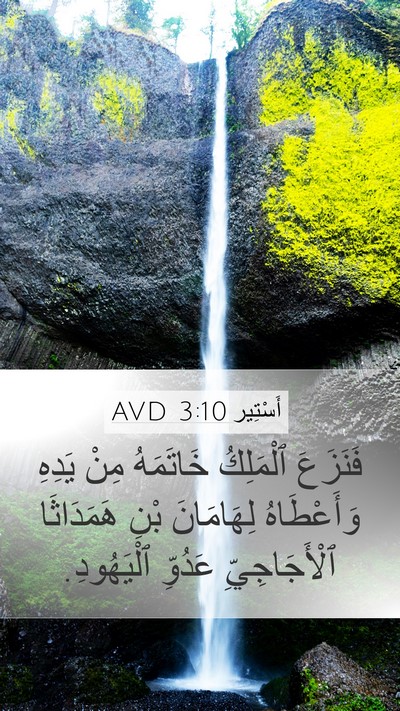 أَسْتِير 3:10 AVD Bible Verse Image