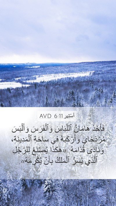 أَسْتِير 6:11 AVD Bible Verse Image