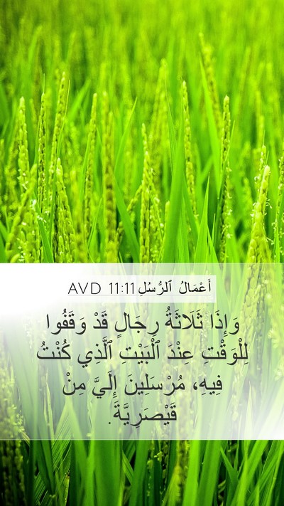 أَعْمَالُ ٱلرُّسُلِ 11:11 AVD Bible Verse Image