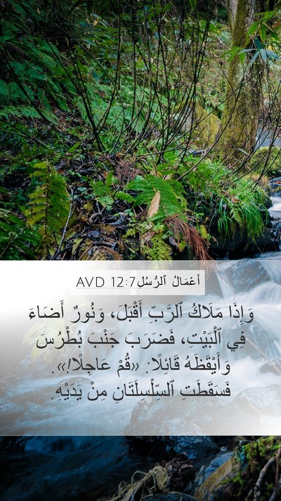 أَعْمَالُ ٱلرُّسُلِ 12:7 AVD Bible Verse Image