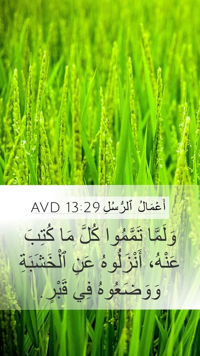 أَعْمَالُ ٱلرُّسُلِ 13:29 AVD Bible Verse Image