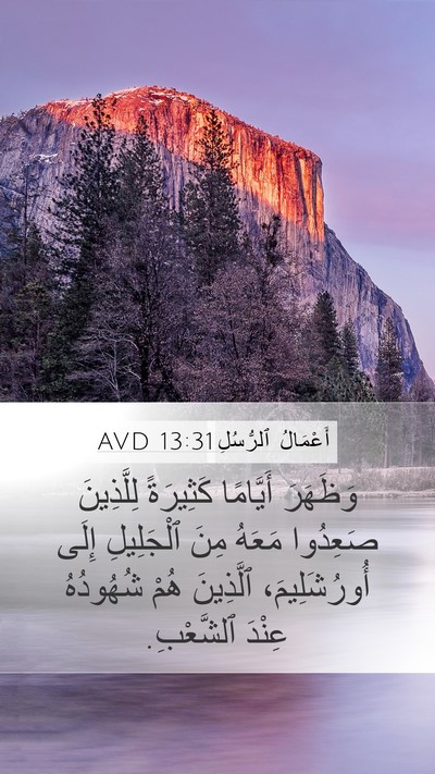 أَعْمَالُ ٱلرُّسُلِ 13:31 AVD Bible Verse Image