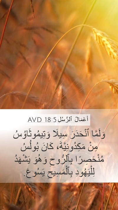 أَعْمَالُ ٱلرُّسُلِ 18:5 AVD Bible Verse Image