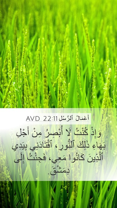 أَعْمَالُ ٱلرُّسُلِ 22:11 AVD Mobile Phone Wallpaper - وَإِذْ كُنْتُ لَا أُبْصِرُ - Mobile Bible Verse Wallpaper