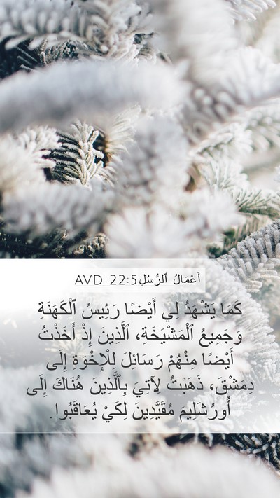 أَعْمَالُ ٱلرُّسُلِ 22:5 AVD Bible Verse Image