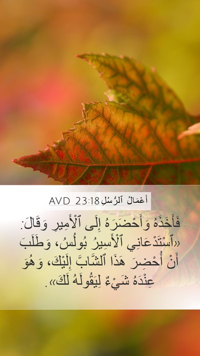 أَعْمَالُ ٱلرُّسُلِ 23:18 AVD Bible Verse Image