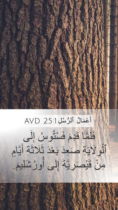 أَعْمَالُ ٱلرُّسُلِ 25:1 AVD Bible Verse Image