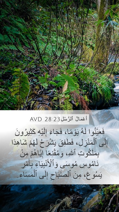 أَعْمَالُ ٱلرُّسُلِ 28:23 AVD Bible Verse Image