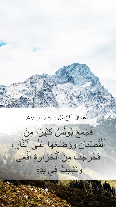 أَعْمَالُ ٱلرُّسُلِ 28:3 AVD Bible Verse Image