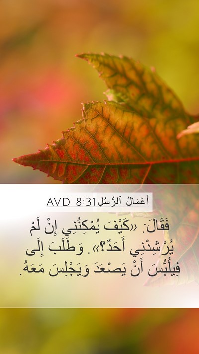 أَعْمَالُ ٱلرُّسُلِ 8:31 AVD Bible Verse Image
