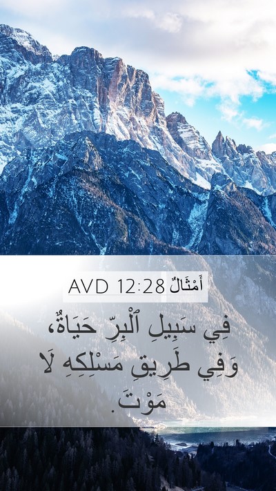أَمْثَالٌ 12:28 AVD Mobile Phone Wallpaper - فِي سَبِيلِ ٱلْبِرِّ - Mobile Bible Verse Wallpaper