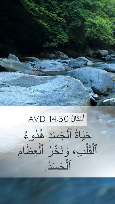 أَمْثَالٌ 14:30 AVD Bible Verse Image